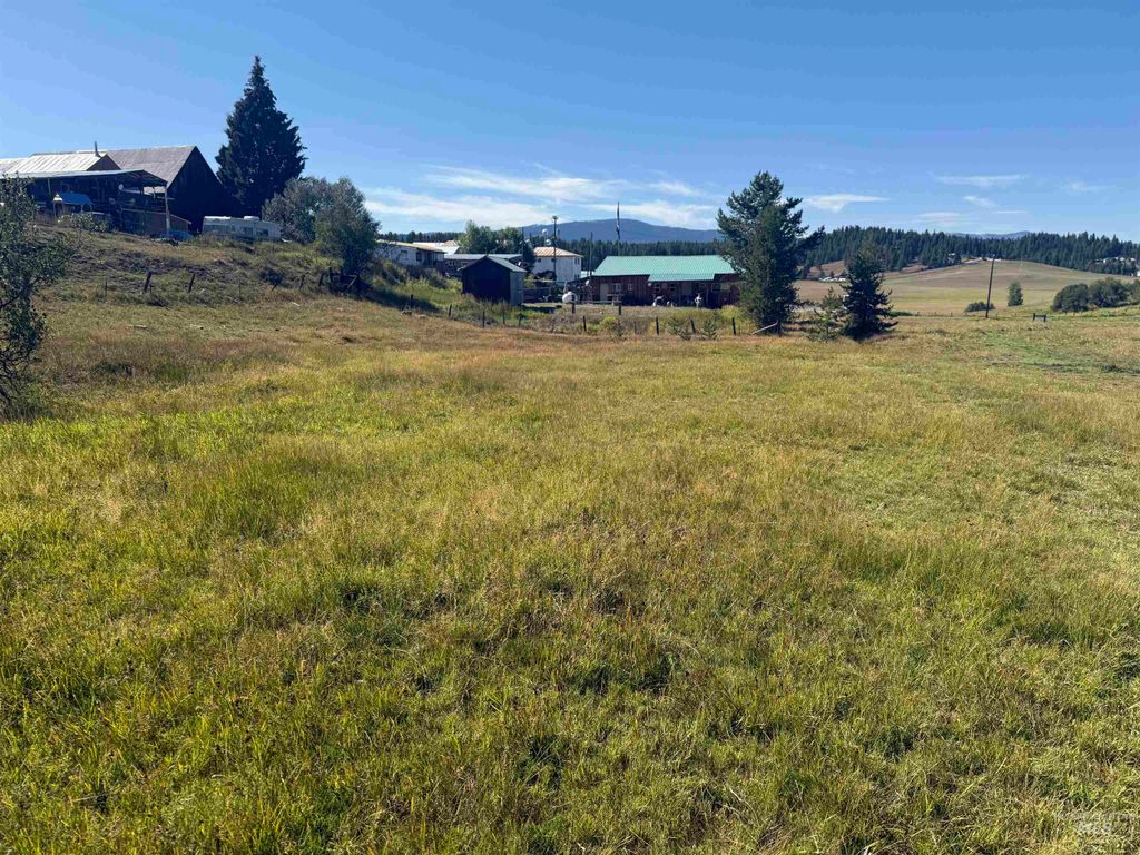 TBD School Drive, Elk City, ID 83525 photo 2