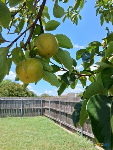 915 Neuberry Cliffe, Temple, TX 76502