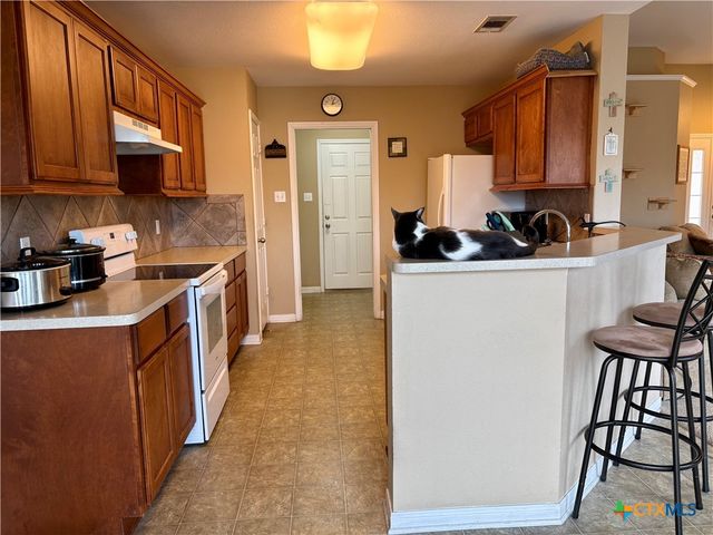 915 Neuberry Cliffe, Temple, TX 76502