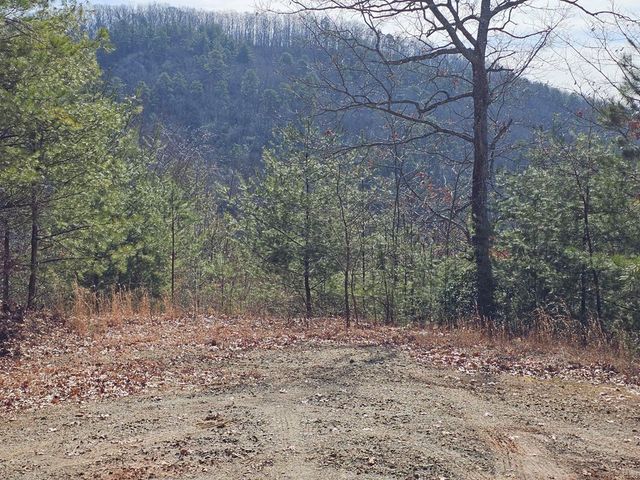 51 Kudzu Creek Trail, Murphy, NC 28906