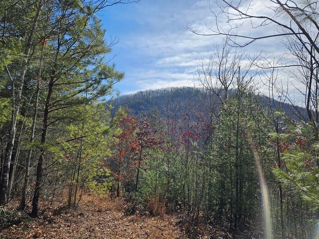 51 Kudzu Creek Trail, Murphy, NC 28906