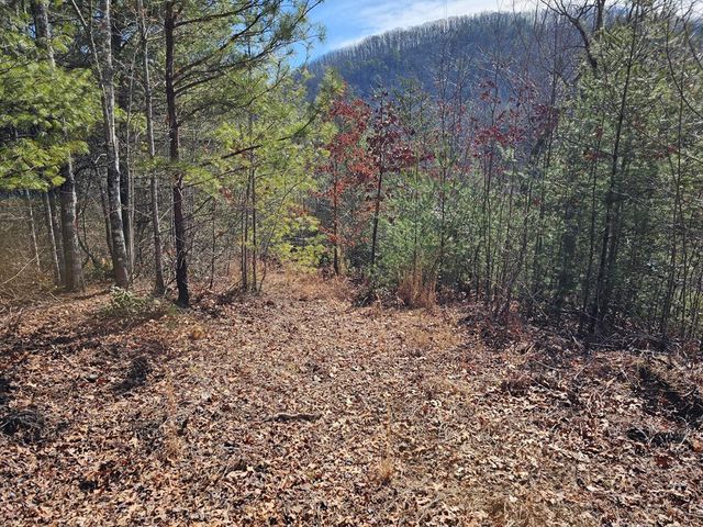 51 Kudzu Creek Trail, Murphy, NC 28906