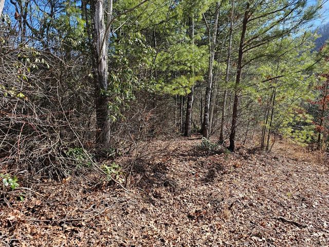 51 Kudzu Creek Trail, Murphy, NC 28906