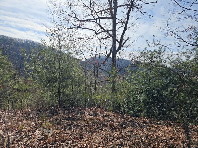 51 Kudzu Creek Trail, Murphy, NC 28906