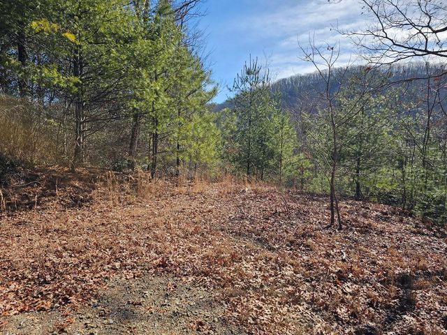 51 Kudzu Creek Trail, Murphy, NC 28906