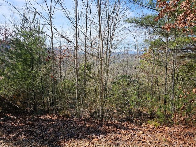 51 Kudzu Creek Trail, Murphy, NC 28906