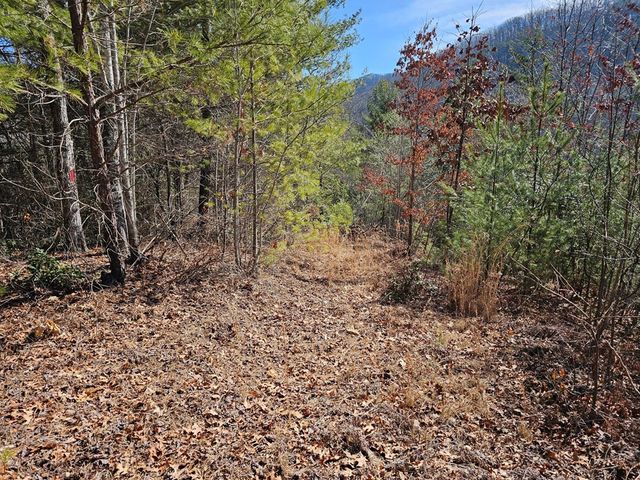 51 Kudzu Creek Trail, Murphy, NC 28906