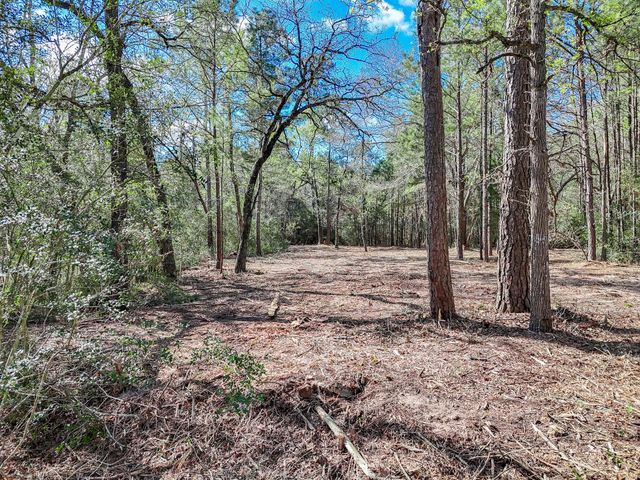 0 Nottingham Circle, Hockley, TX 77447