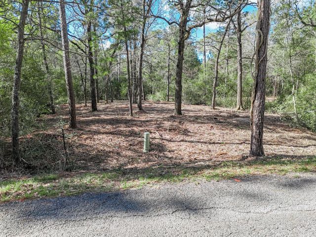 0 Nottingham Circle, Hockley, TX 77447