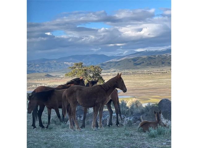 19643 Viking Spirit Way, San Luis, CO 81152