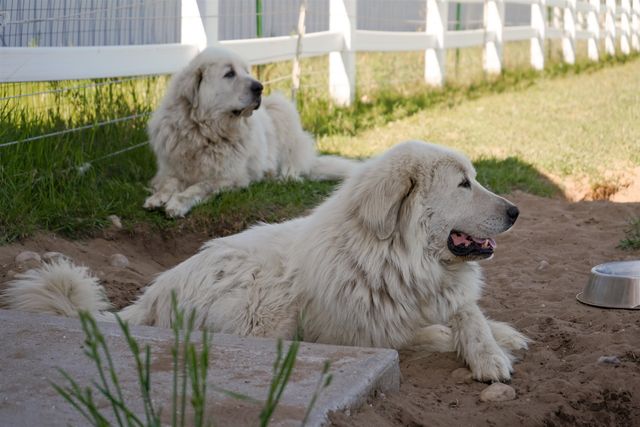 3619 Tompkins Road, Traverse City, MI 49686