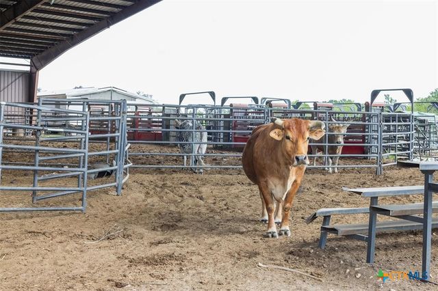 8519 State Park Road, Lockhart, TX 78644