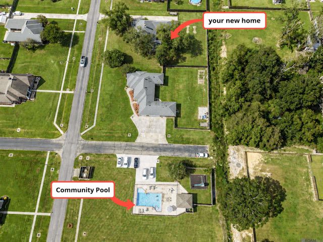 16428 Ole Homestead Ln, Prairieville, LA 70769