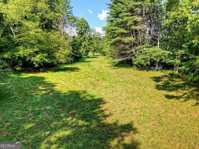 0 Hwy 2, Blue Ridge, GA 30513