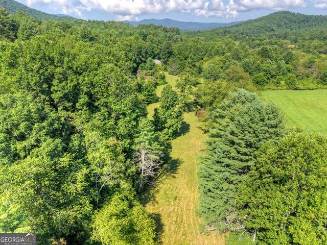 0 Hwy 2, Blue Ridge, GA 30513