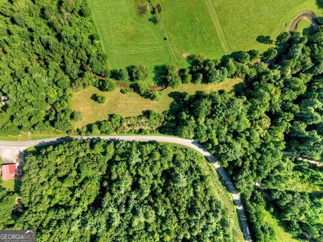 0 Hwy 2, Blue Ridge, GA 30513