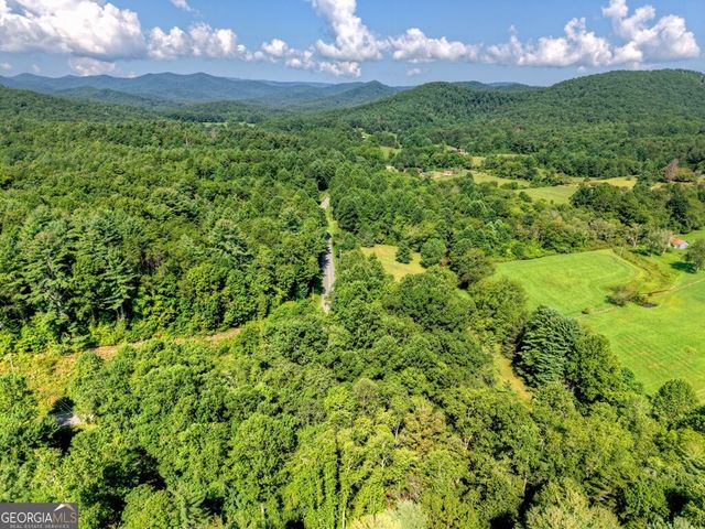 0 Hwy 2, Blue Ridge, GA 30513