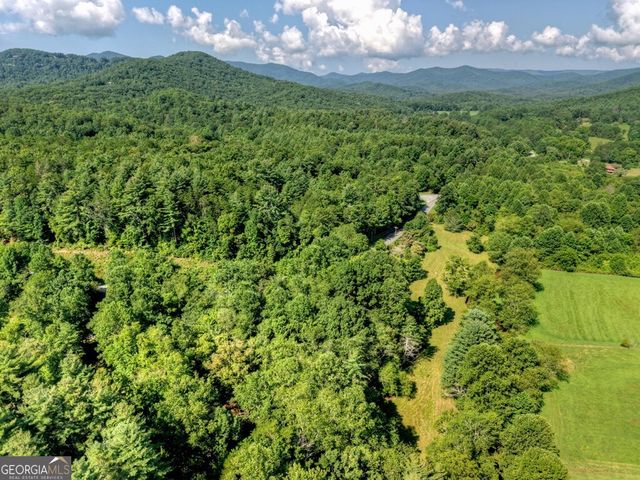 0 Hwy 2, Blue Ridge, GA 30513