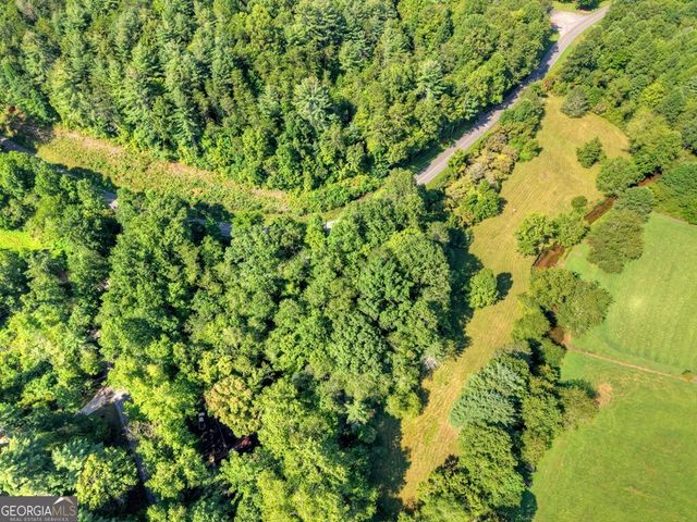 0 Hwy 2, Blue Ridge, GA 30513