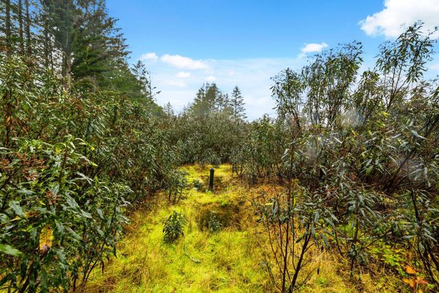 60 Braemoor Drive, Santa Cruz, CA 95060