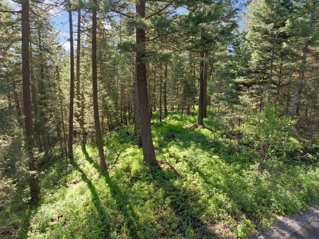 119 Stageline Court, Whitefish, MT 59937