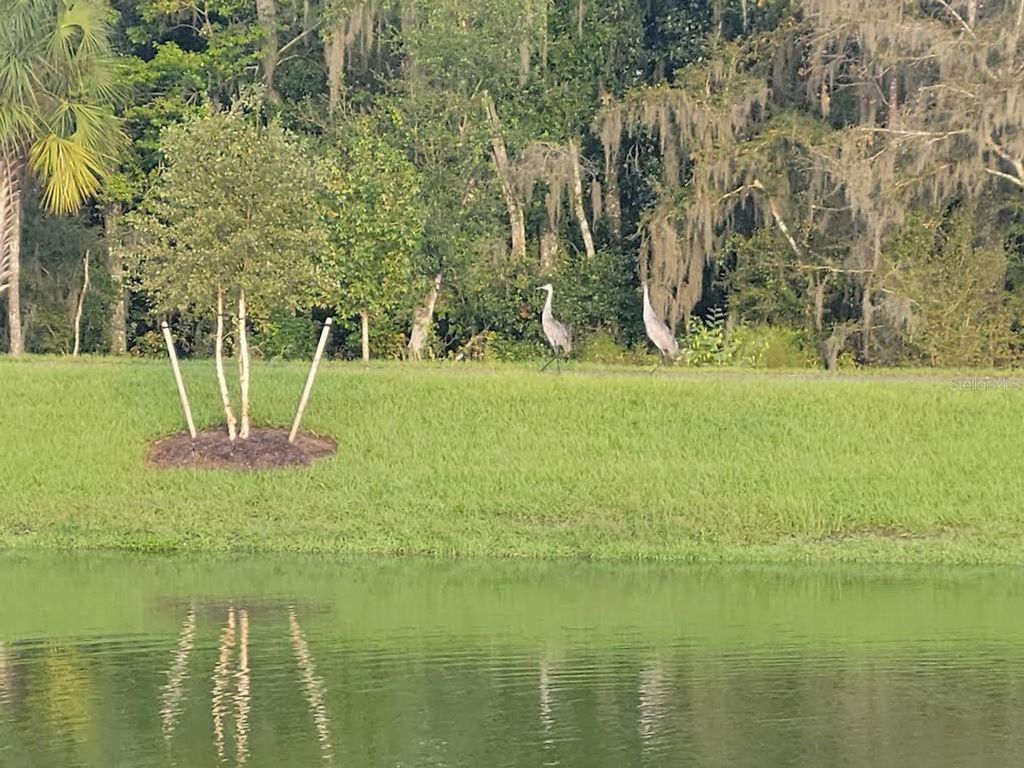 Image 52 of property listing at 3449 KEITH LANE, The Villages, FL 32163