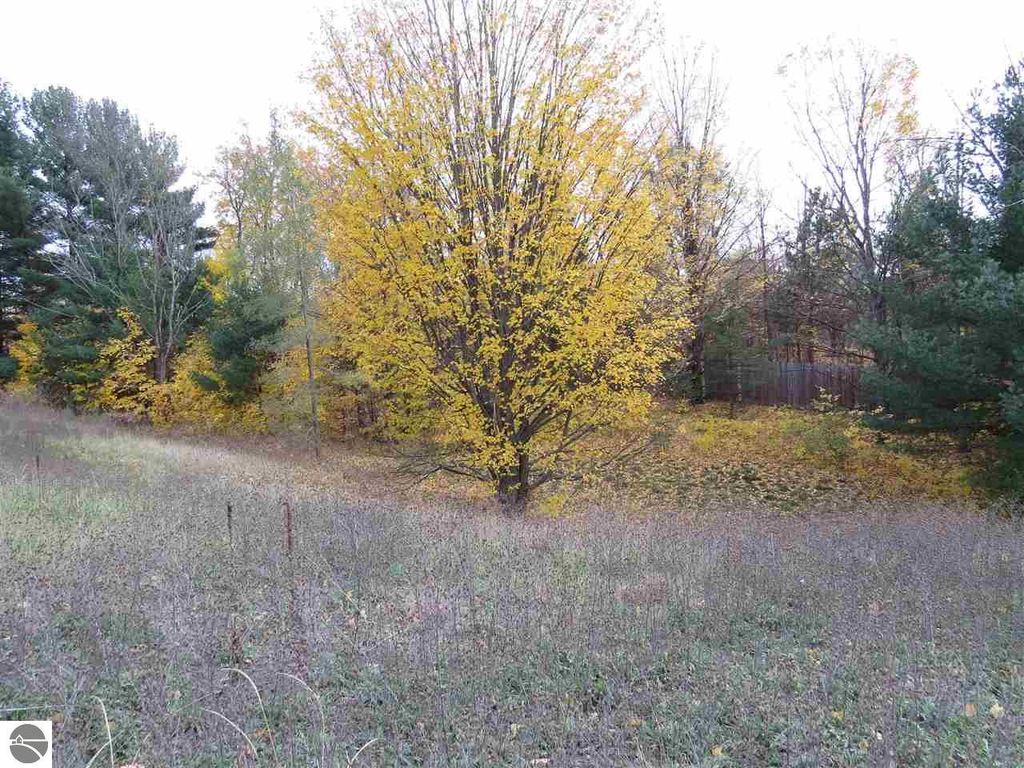 Image 3 of property listing at Lot 70 Eden Street, Kingsley, MI 49649