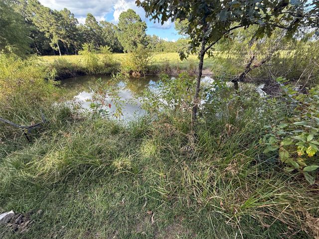 3775 Jenkins Road, Coldspring, TX 77331