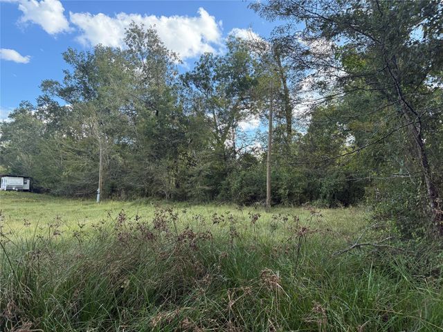 3775 Jenkins Road, Coldspring, TX 77331