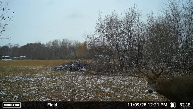 296 W Gordonville Road, Midland, MI 48640