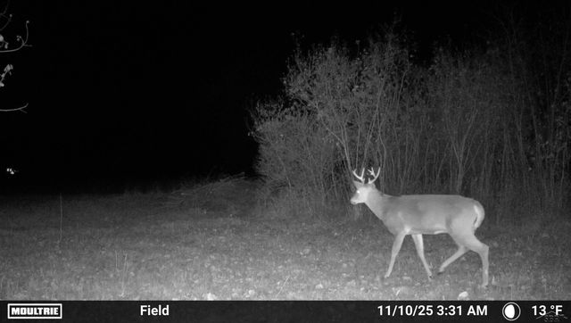 296 W Gordonville Road, Midland, MI 48640