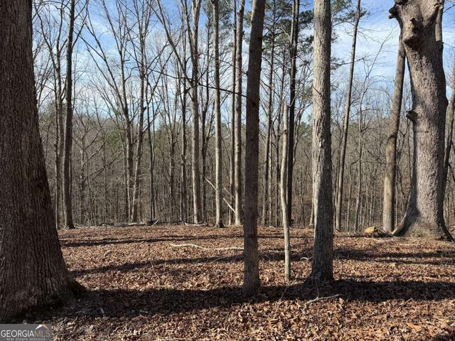 131 Nicholson Lane, Talking Rock, GA 30175