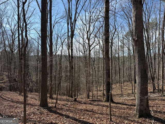 131 Nicholson Lane, Talking Rock, GA 30175