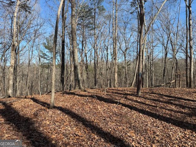 131 Nicholson Lane, Talking Rock, GA 30175