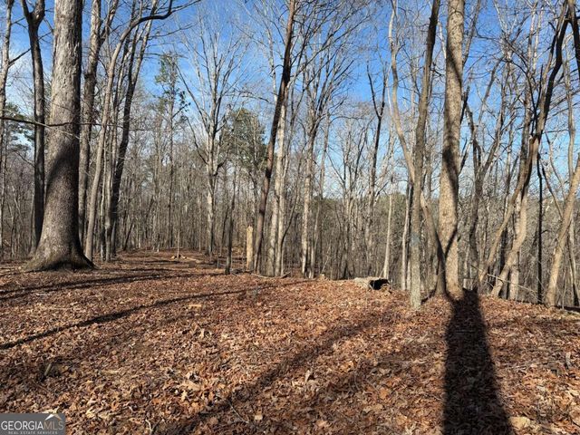 131 Nicholson Lane, Talking Rock, GA 30175