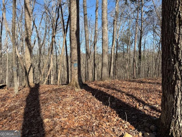 131 Nicholson Lane, Talking Rock, GA 30175