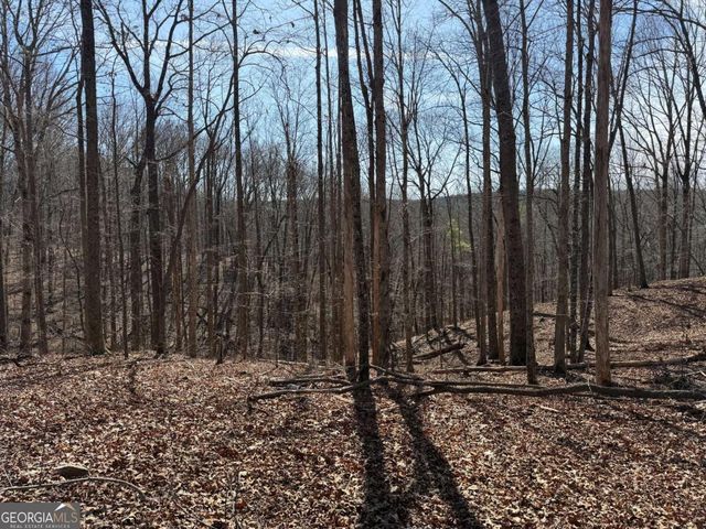 131 Nicholson Lane, Talking Rock, GA 30175