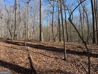 131 Nicholson Lane, Talking Rock, GA 30175