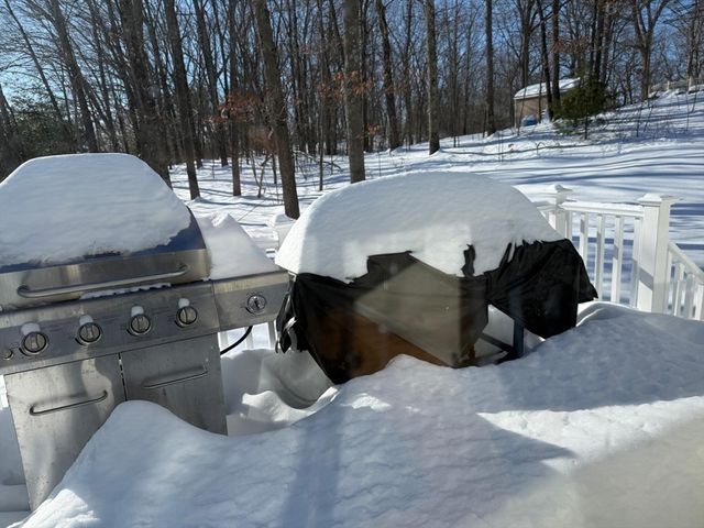 11 Bluegrass Ln, Shrewsbury, MA 01545