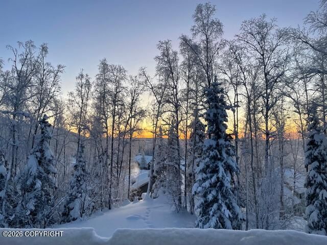 10857 Splendor Loop, Eagle River, AK 99577