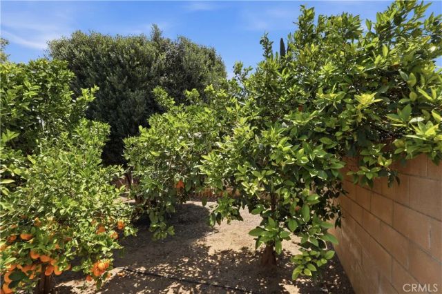 3906 New Haven Drive, Riverside, CA 92505
