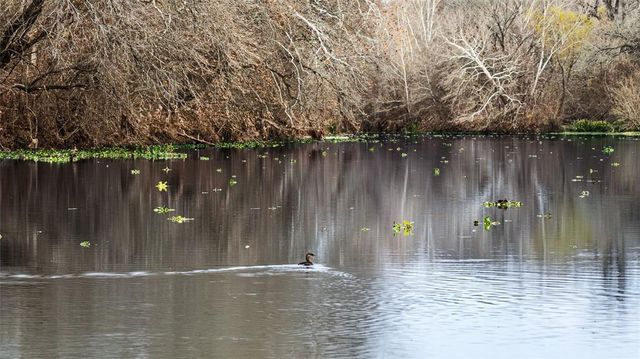 256 Greasy Bend RD, Smithville, TX 78957