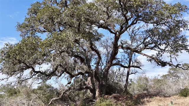 256 Greasy Bend RD, Smithville, TX 78957