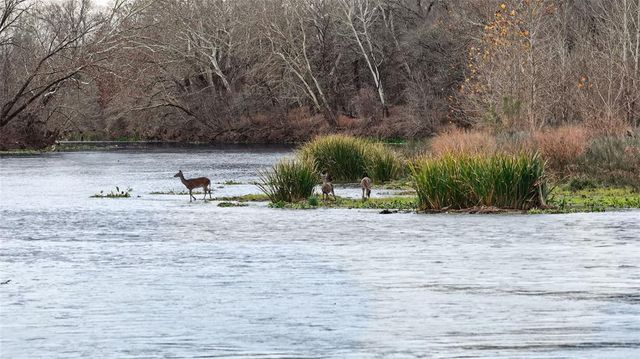 256 Greasy Bend RD, Smithville, TX 78957