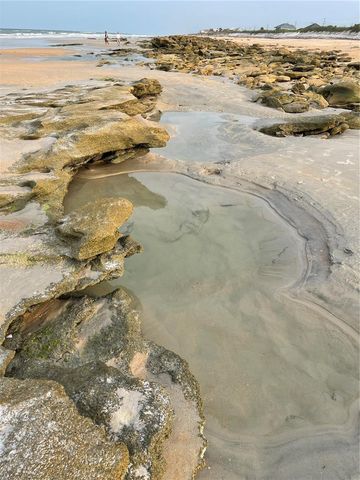 19 DEERWOOD STREET, Palm Coast, FL 32137