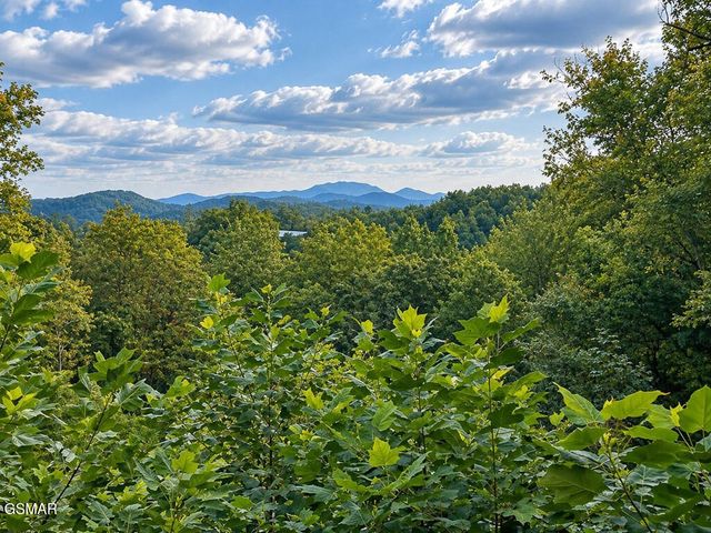 2511 Cove Mountain Lane, Sevierville, TN 37862