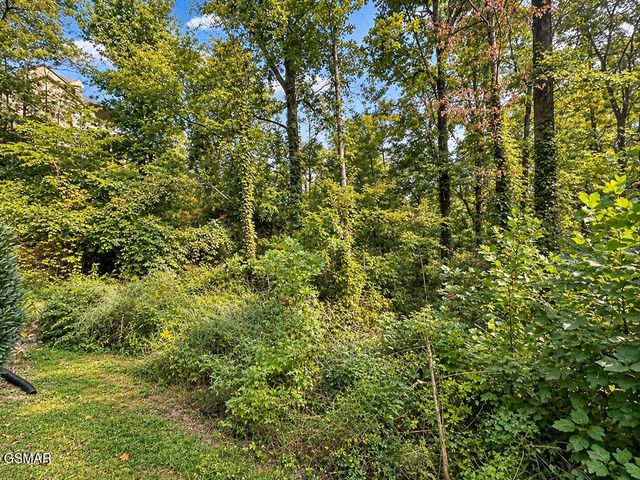 2511 Cove Mountain Lane, Sevierville, TN 37862