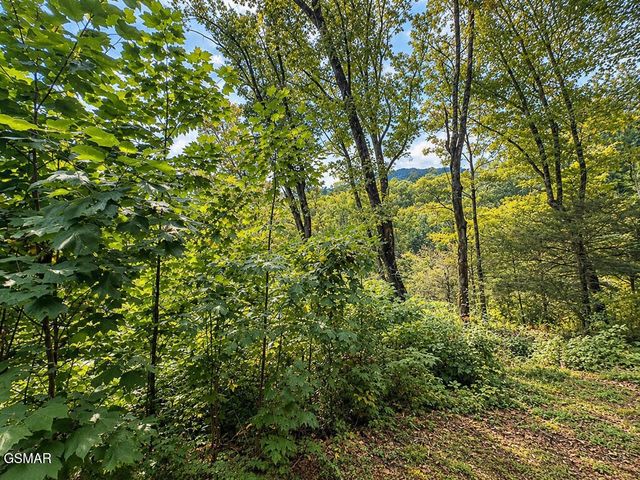 2511 Cove Mountain Lane, Sevierville, TN 37862