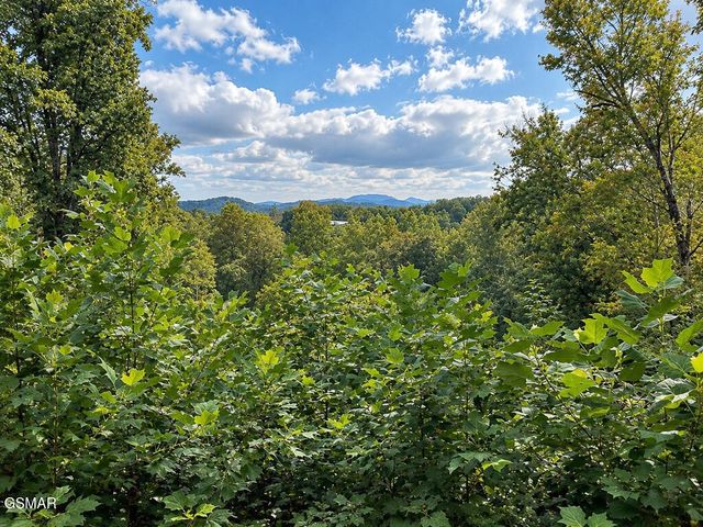 2511 Cove Mountain Lane, Sevierville, TN 37862