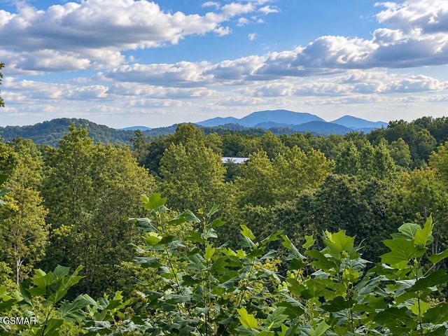 2511 Cove Mountain Lane, Sevierville, TN 37862
